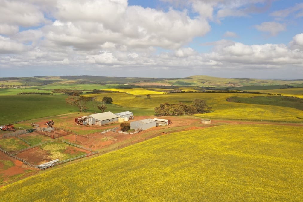 251 Reservoir Drive, Whites Flat, SA, 5607 - Image 1