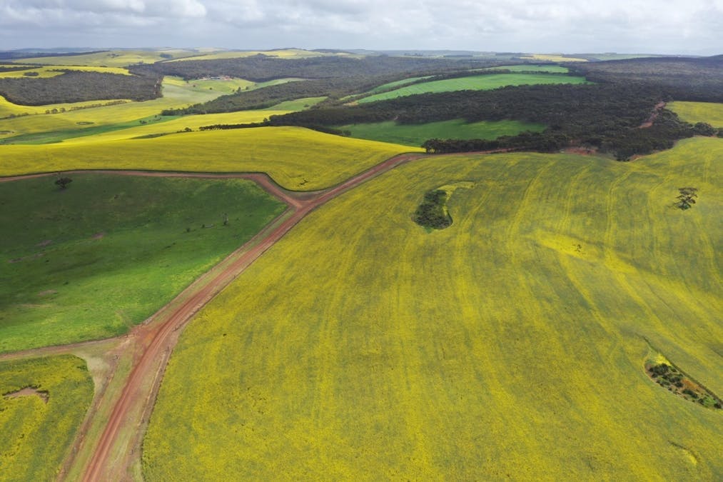 251 Reservoir Drive, Whites Flat, SA, 5607 - Image 4