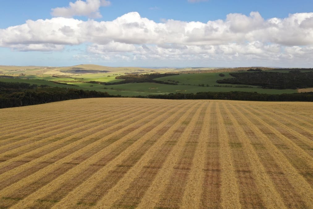 251 Reservoir Drive, Whites Flat, SA, 5607 - Image 10