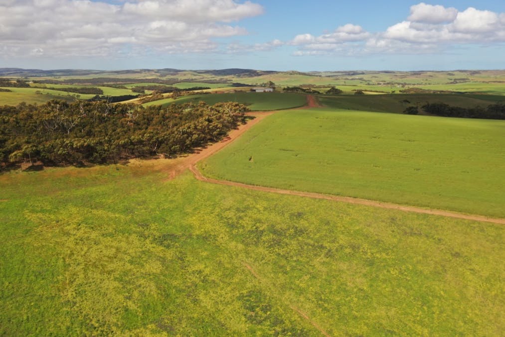 251 Reservoir Drive, Whites Flat, SA, 5607 - Image 26