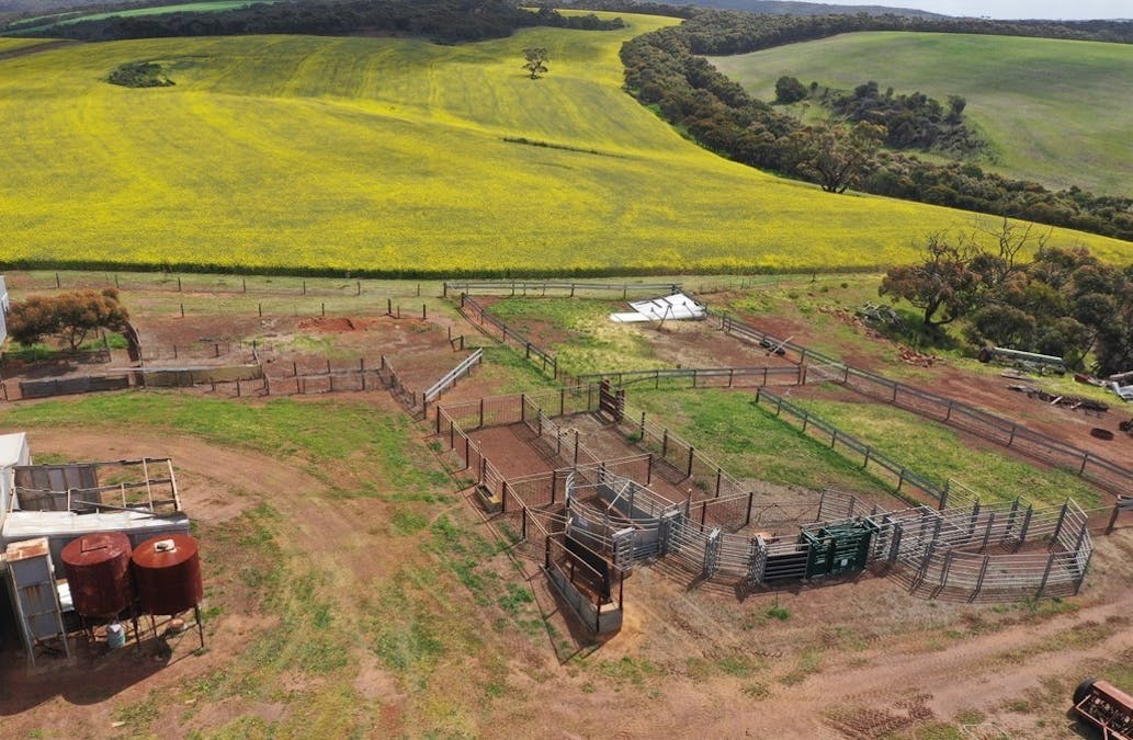 251 Reservoir Drive, Whites Flat, SA, 5607 - Image 16