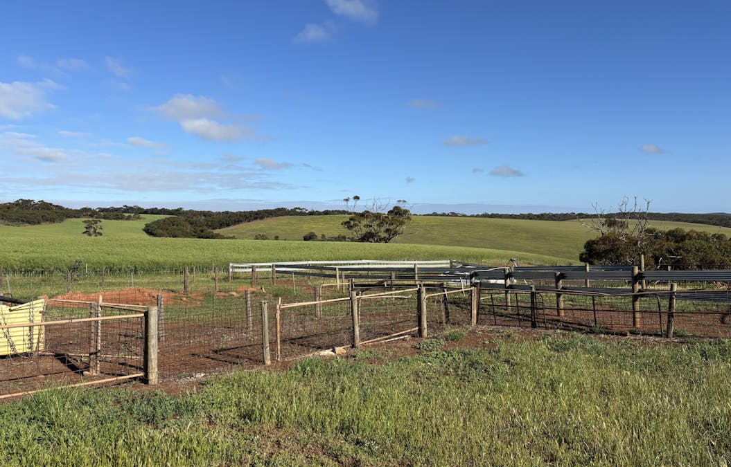 251 Reservoir Drive, Whites Flat, SA, 5607 - Image 29