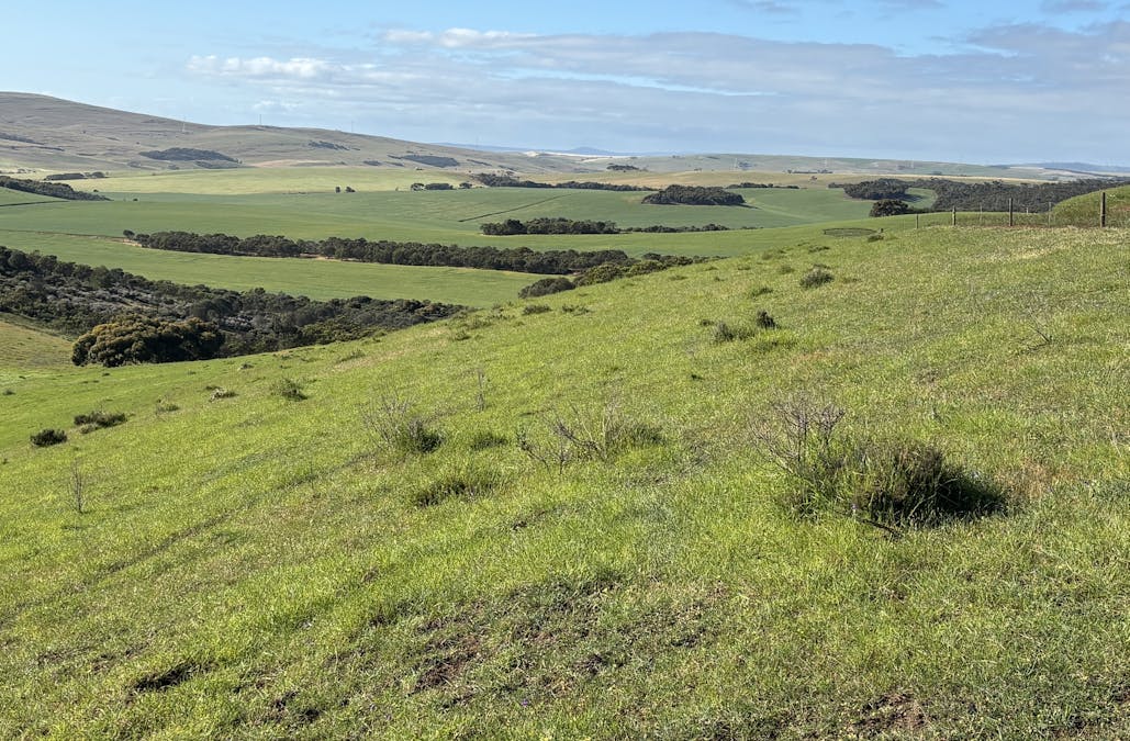 251 Reservoir Drive, Whites Flat, SA, 5607 - Image 30