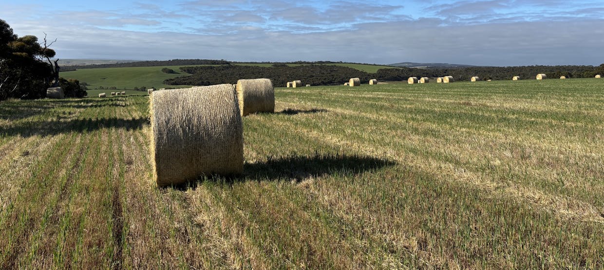 251 Reservoir Drive, Whites Flat, SA, 5607 - Image 18