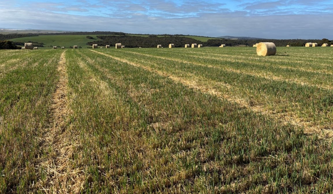 251 Reservoir Drive, Whites Flat, SA, 5607 - Image 21