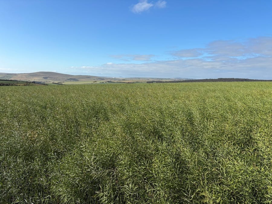 251 Reservoir Drive, Whites Flat, SA, 5607 - Image 33