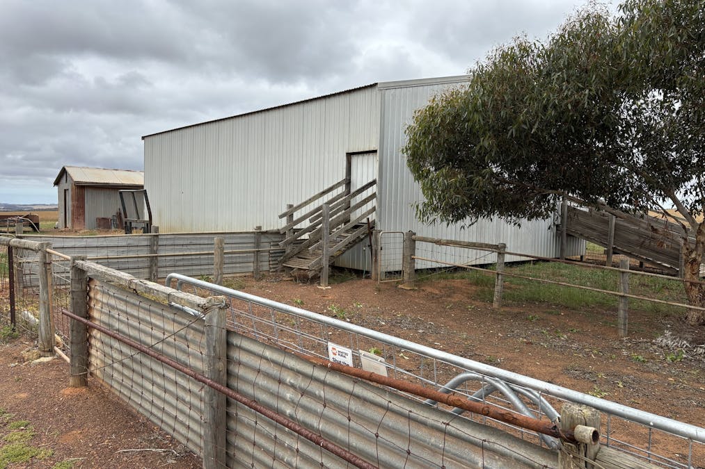 251 Reservoir Drive, Whites Flat, SA, 5607 - Image 22