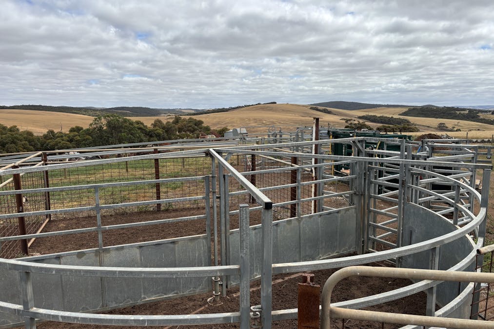 251 Reservoir Drive, Whites Flat, SA, 5607 - Image 34