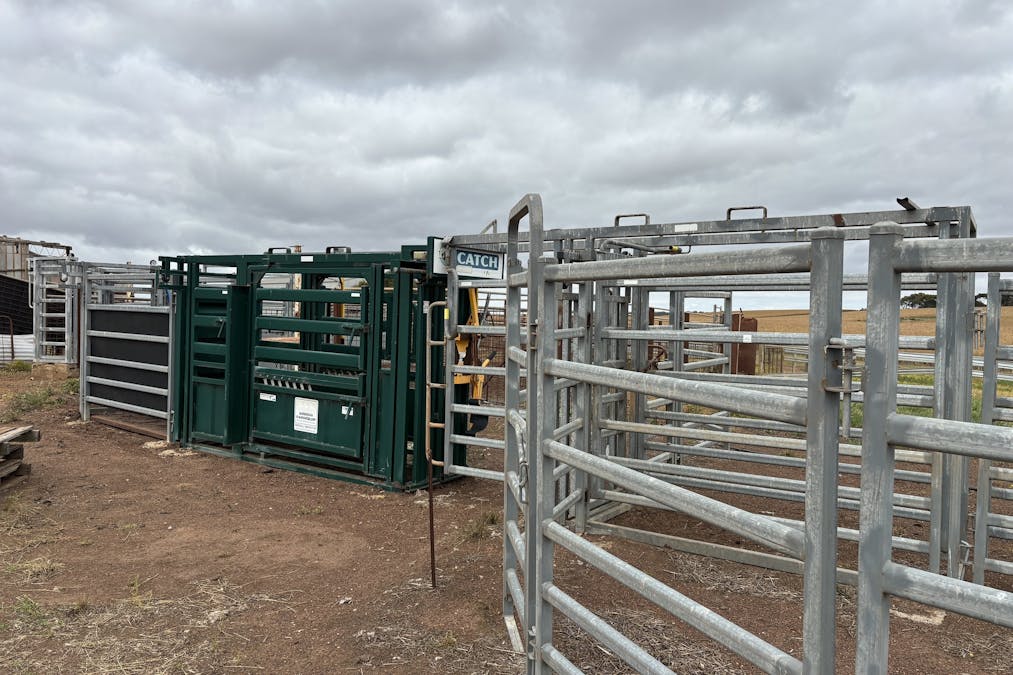 251 Reservoir Drive, Whites Flat, SA, 5607 - Image 35