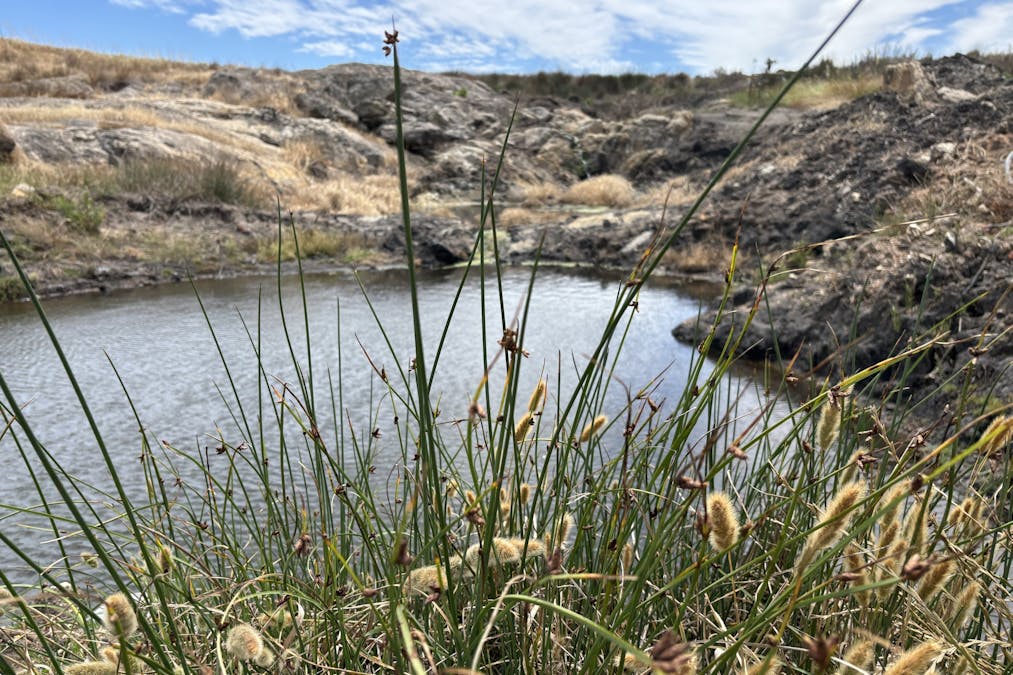 251 Reservoir Drive, Whites Flat, SA, 5607 - Image 5