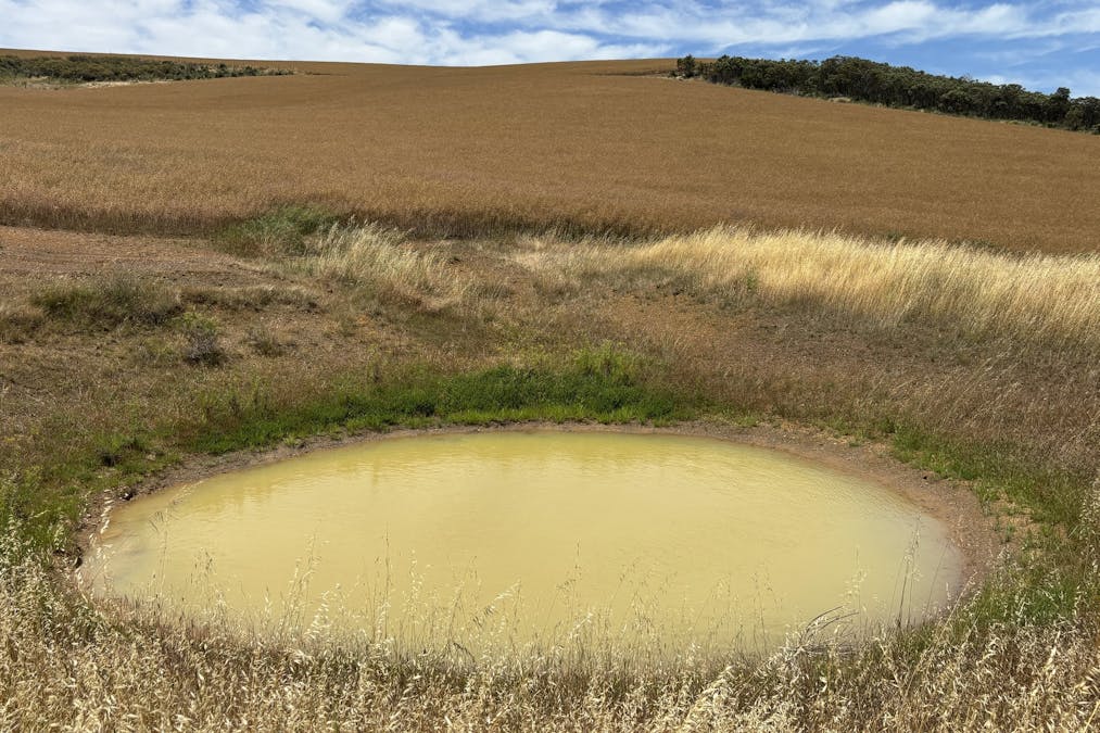 251 Reservoir Drive, Whites Flat, SA, 5607 - Image 20