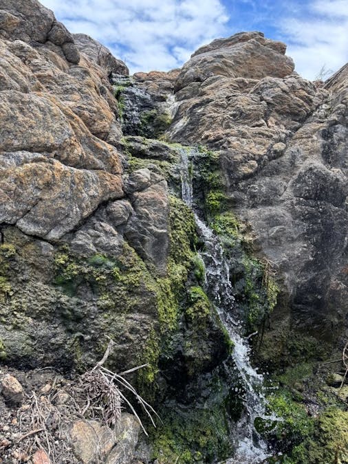 251 Reservoir Drive, Whites Flat, SA, 5607 - Image 17