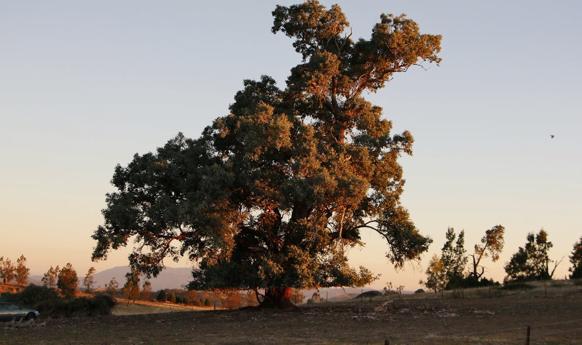 462 Masons Road, Everton Upper, VIC, 3678 - Image 12