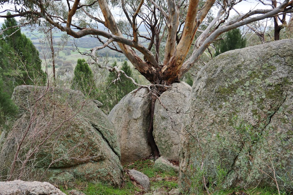 462 Masons Road, Everton Upper, VIC, 3678 - Image 20