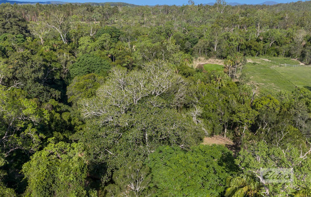 4 Korenan Service Road, Lowmead, QLD, 4676 - Image 18
