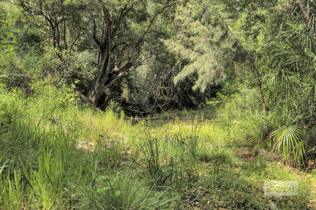 4 Korenan Service Road, Lowmead, QLD, 4676 - Image 1