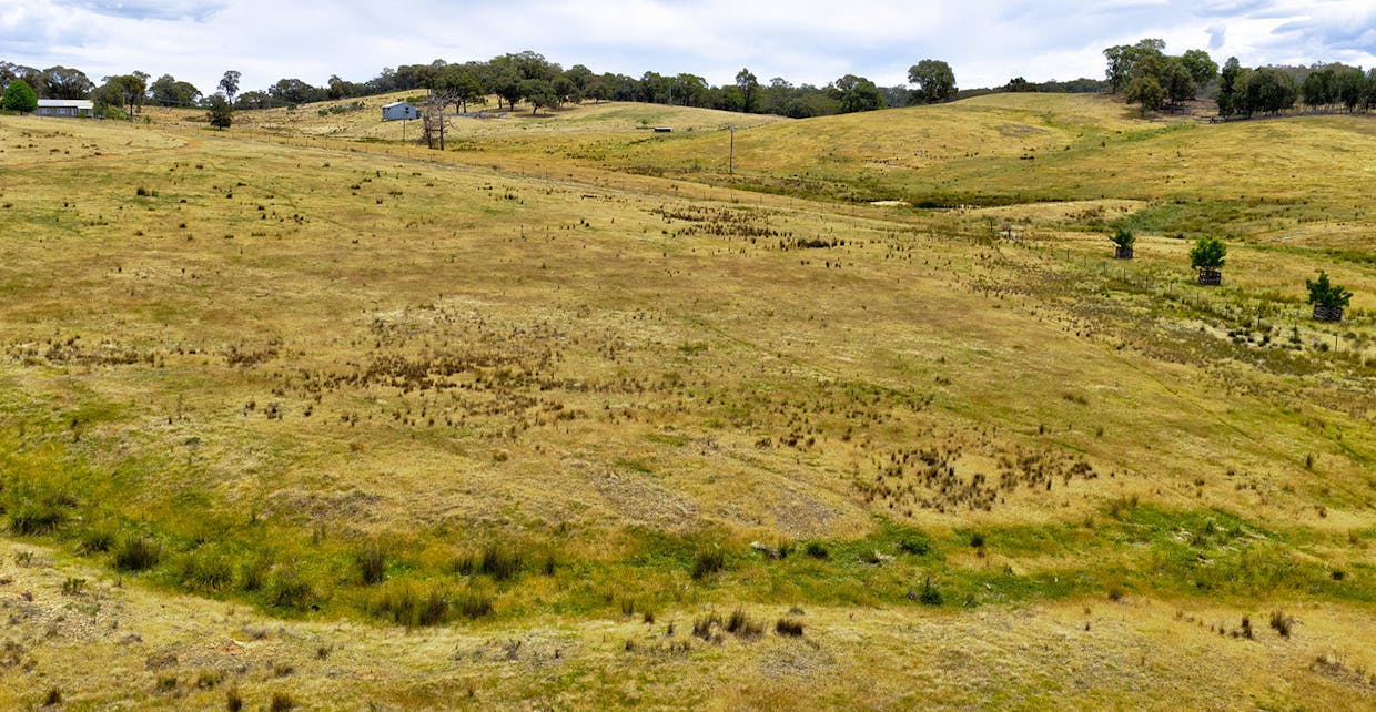 699 Taylors Flat Road, Boorowa, NSW, 2586 - Image 31