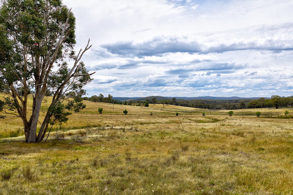 699 Taylors Flat Road, Boorowa, NSW, 2586 - Image 32