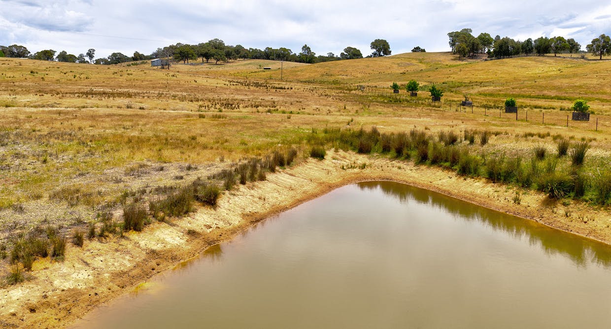 699 Taylors Flat Road, Boorowa, NSW, 2586 - Image 33