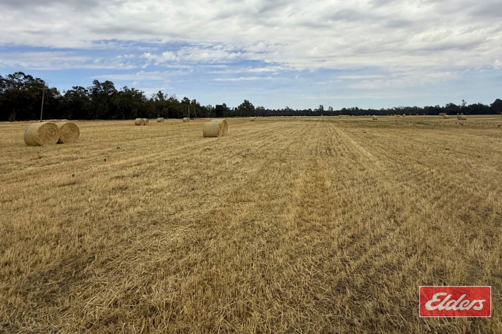 1971 Stewarts Bridge Road, Echuca, VIC, 3564 - Image 9