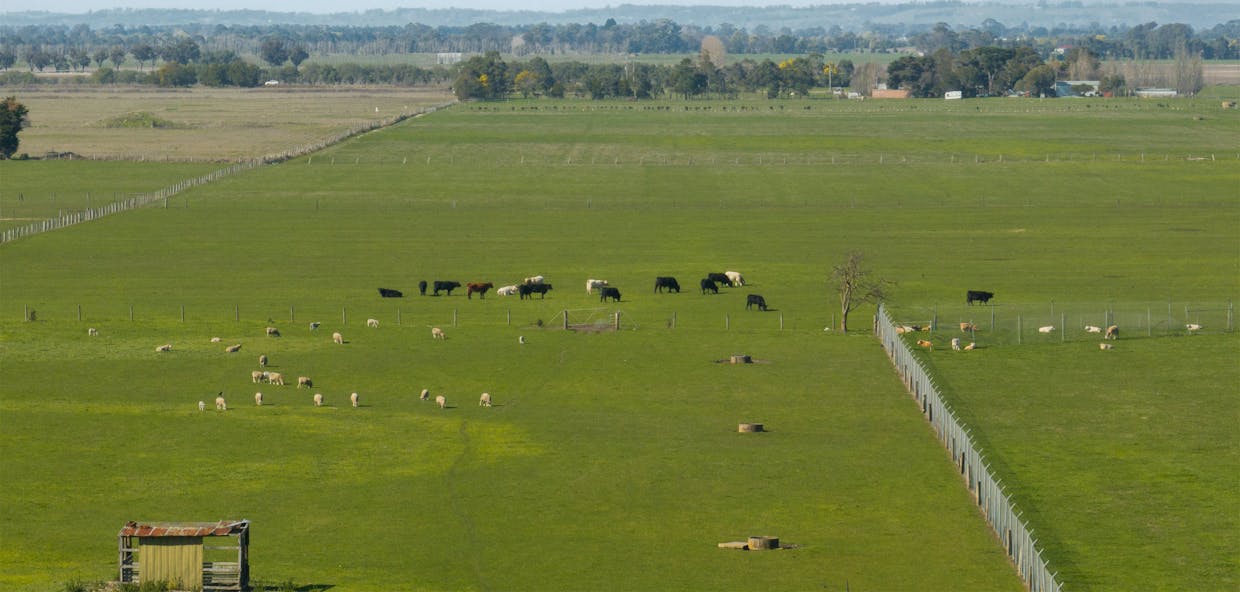 220 Five Mile Road, Koo Wee Rup North, VIC, 3981 - Image 6