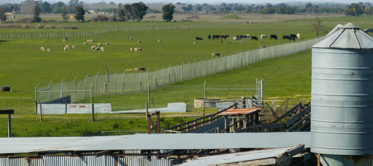 220 Five Mile Road, Koo Wee Rup North, VIC, 3981 - Image 7