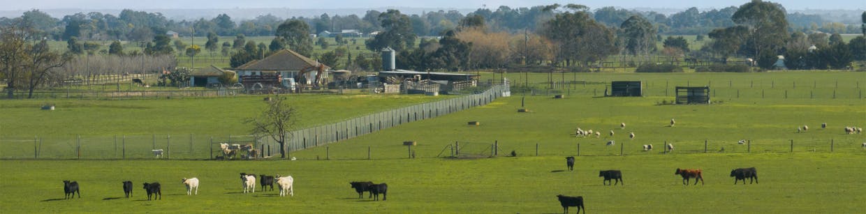 220 Five Mile Road, Koo Wee Rup North, VIC, 3981 - Image 13