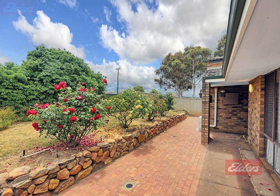 133 Narrakine Road, Narrogin, WA, 6312 - Image 33