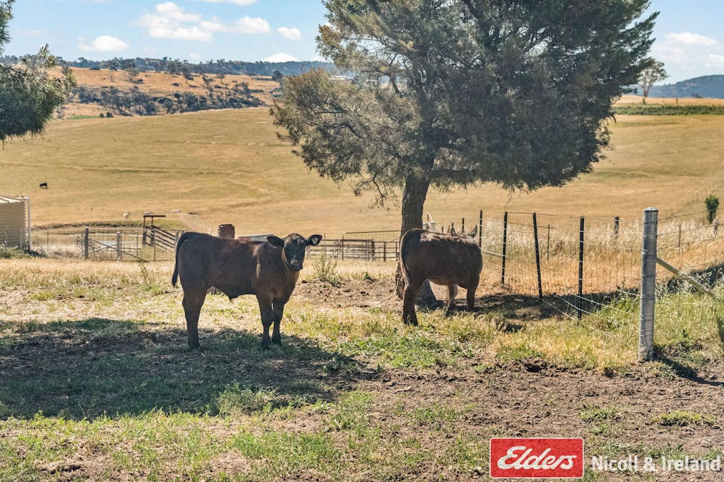 985 Mitchell Highway, Dunkeld, NSW, 2795 - Image 13