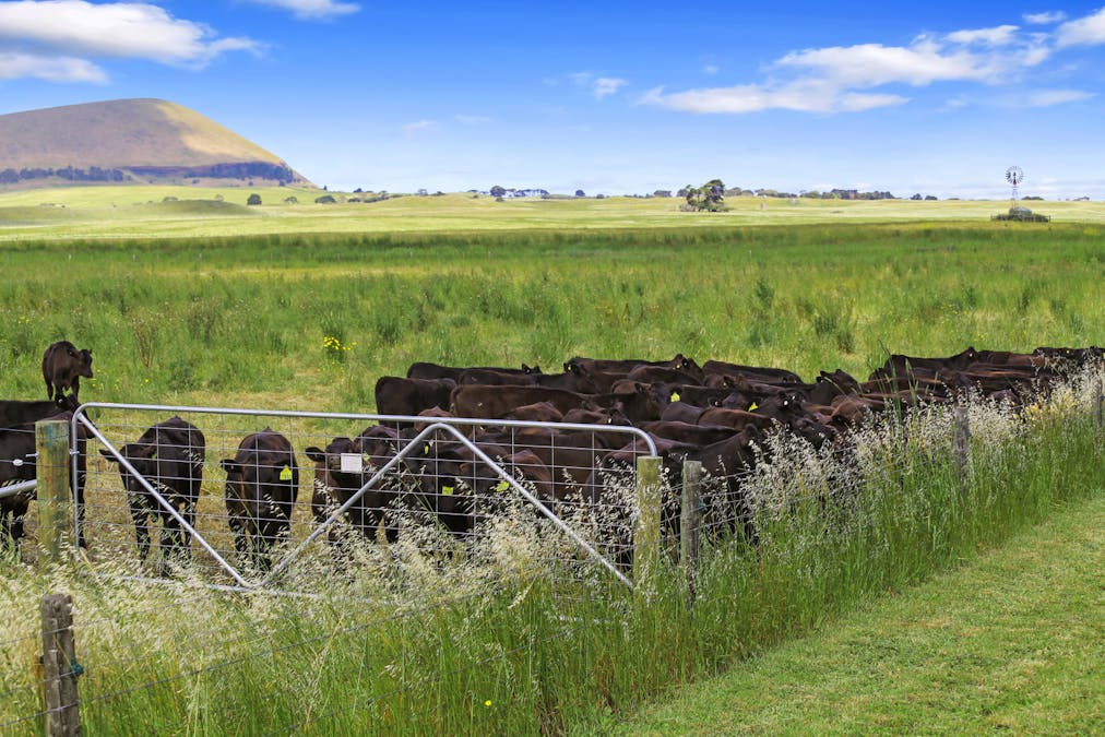 404 Chatsworth Road, Derrinallum, VIC, 3325 - Image 7