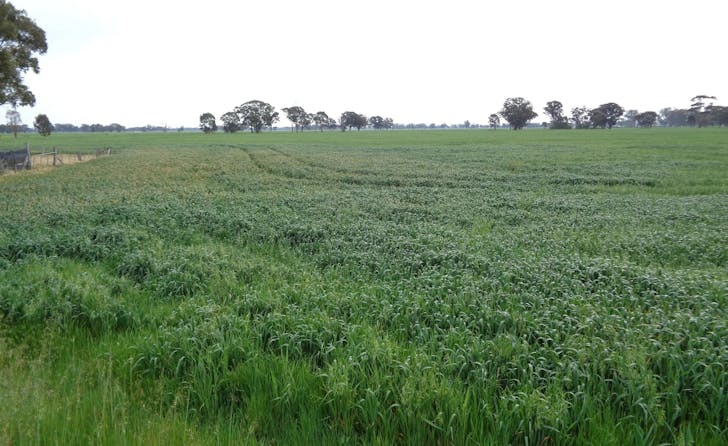 259 Geodetic Road, Miepoll, VIC, 3666 - Image 1