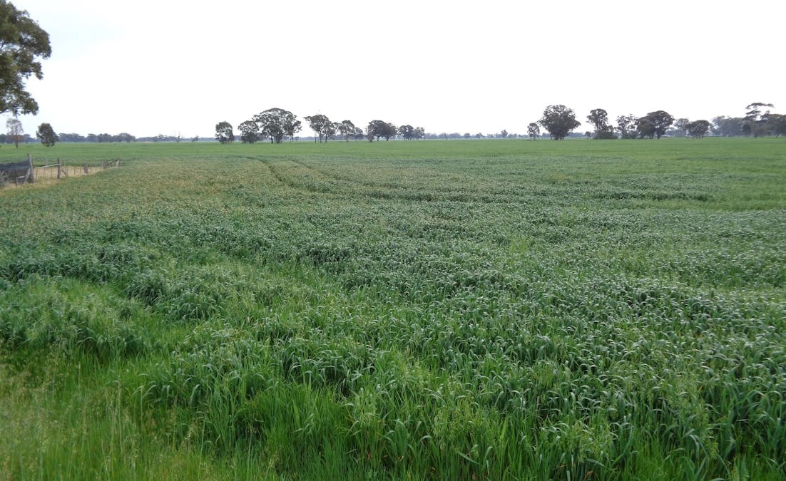 259 Geodetic Road, Miepoll, VIC, 3666 - Image 1