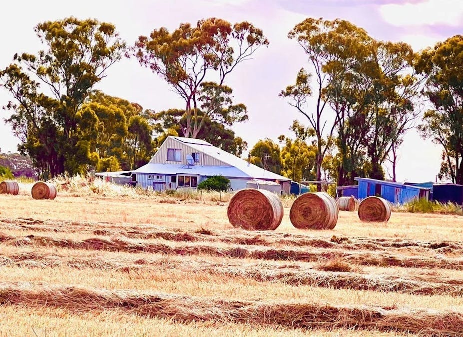 259 Geodetic Road, Miepoll, VIC, 3666 - Image 7