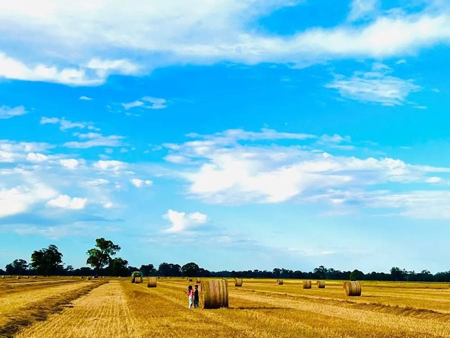 259 Geodetic Road, Miepoll, VIC, 3666 - Image 5