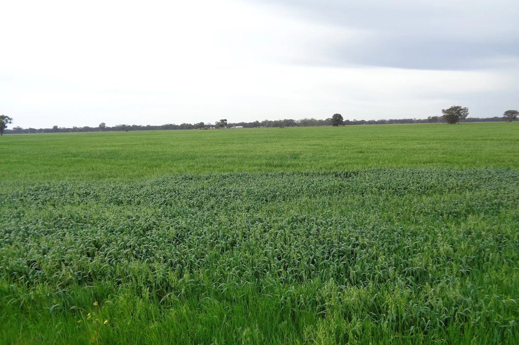 259 Geodetic Road, Miepoll, VIC, 3666 - Image 2