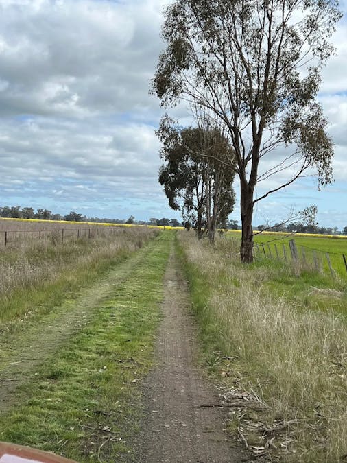 259 Geodetic Road, Miepoll, VIC, 3666 - Image 6