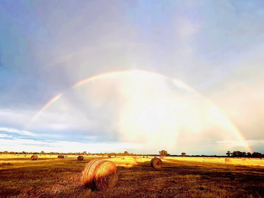 259 Geodetic Road, Miepoll, VIC, 3666 - Image 8