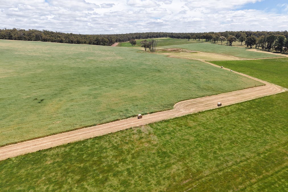 203 Simcock Road, Chowerup, WA, 6244 - Image 8