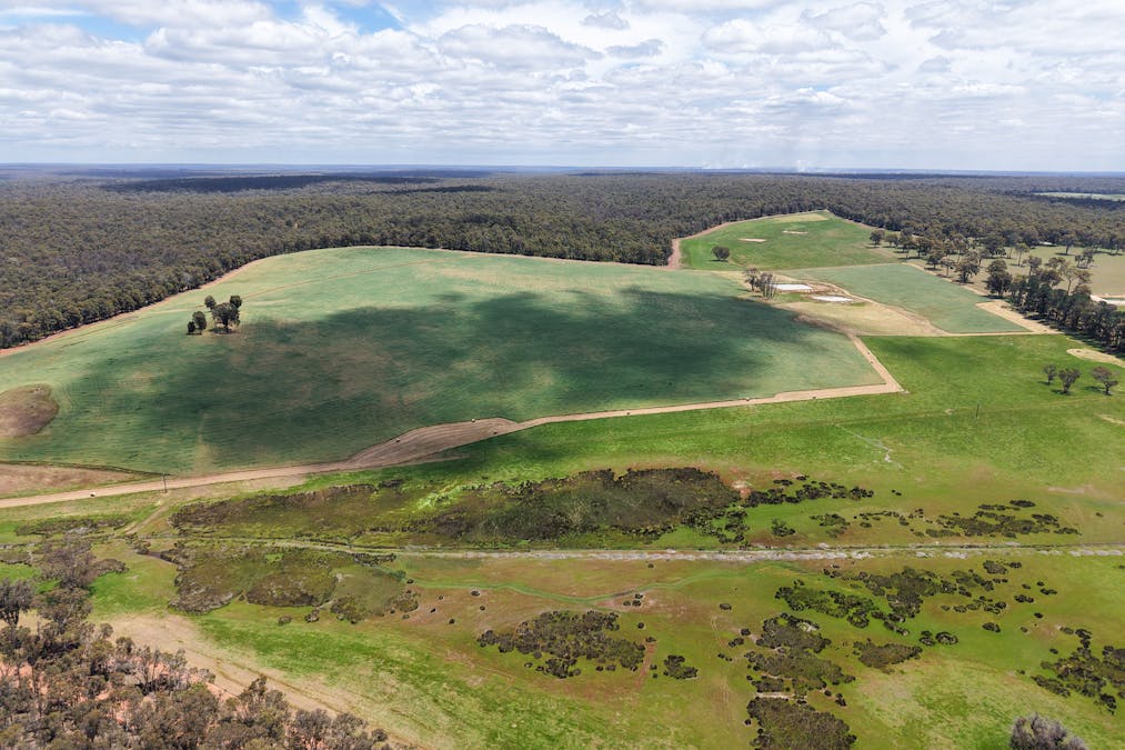 203 Simcock Road, Chowerup, WA, 6244 - Image 9
