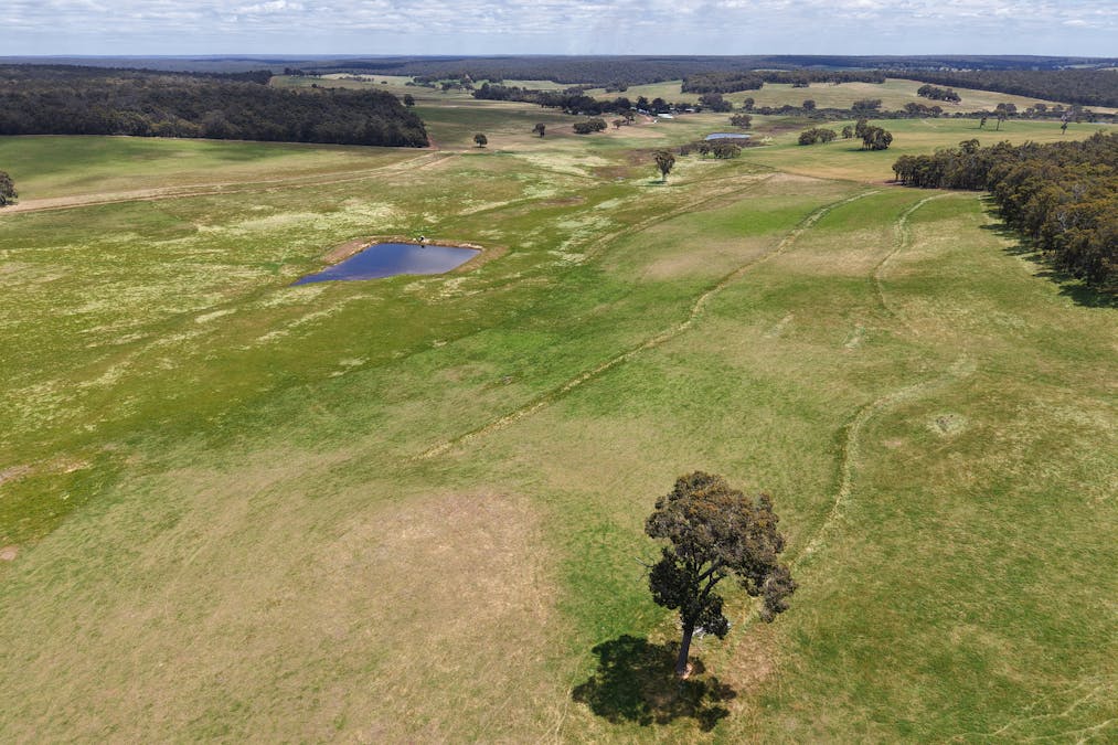 203 Simcock Road, Chowerup, WA, 6244 - Image 11