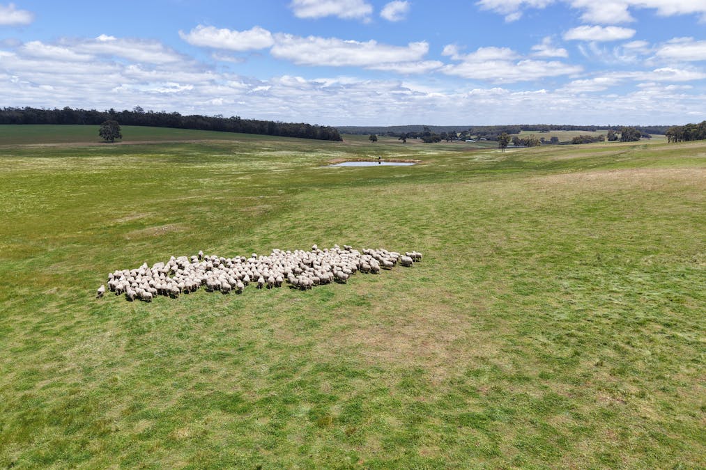 203 Simcock Road, Chowerup, WA, 6244 - Image 2