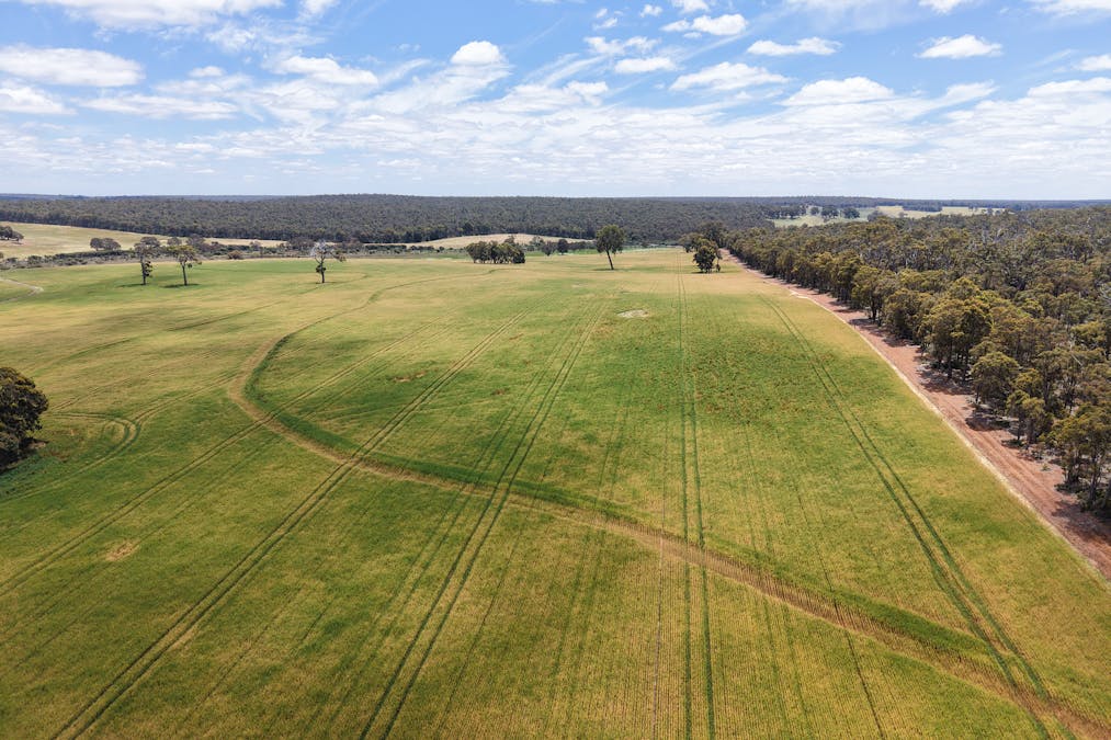 203 Simcock Road, Chowerup, WA, 6244 - Image 12