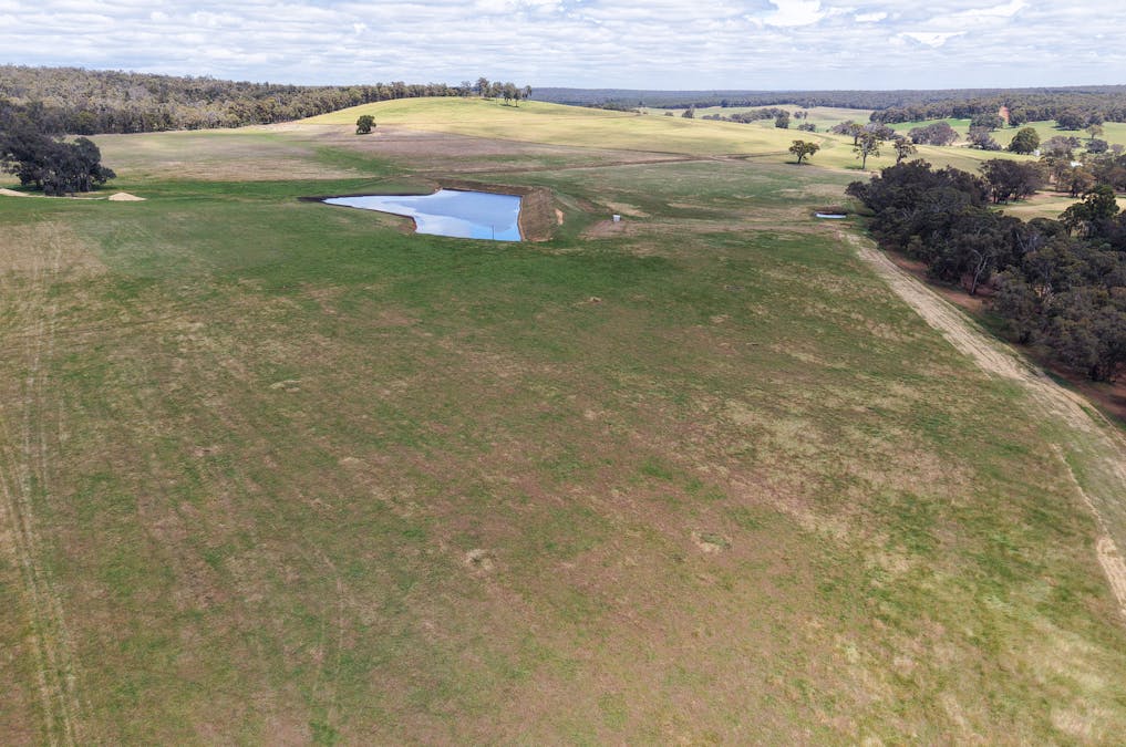 203 Simcock Road, Chowerup, WA, 6244 - Image 15