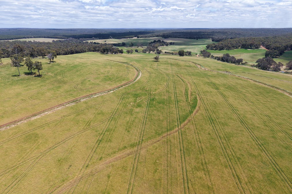 203 Simcock Road, Chowerup, WA, 6244 - Image 17