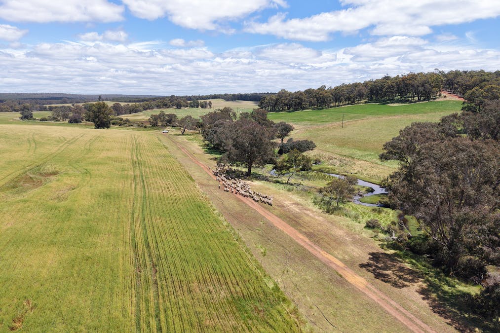 203 Simcock Road, Chowerup, WA, 6244 - Image 18
