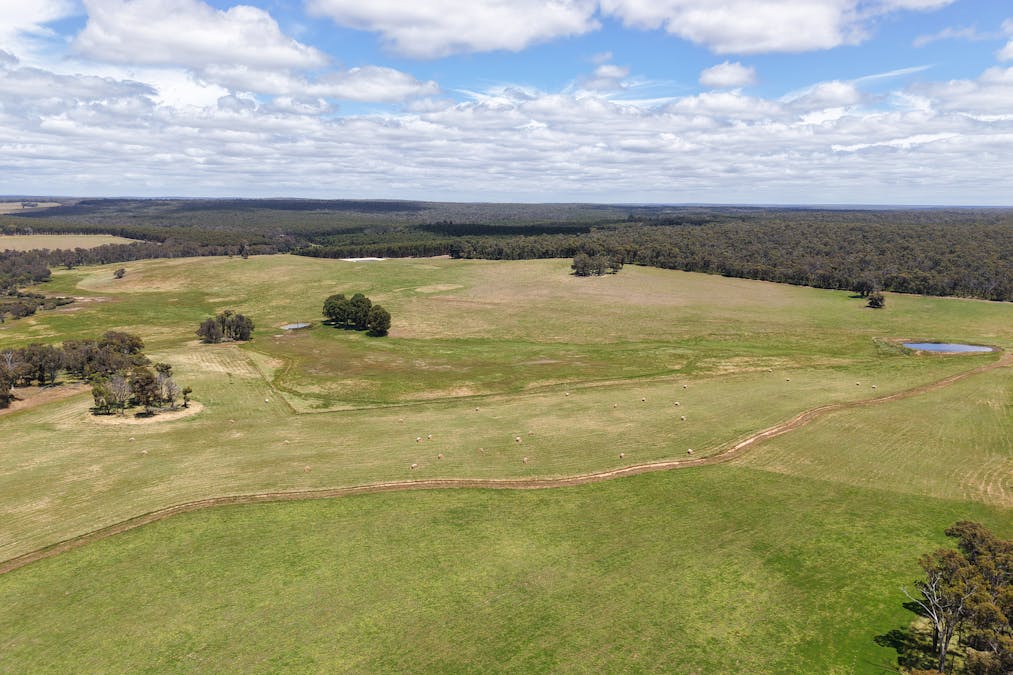 203 Simcock Road, Chowerup, WA, 6244 - Image 20