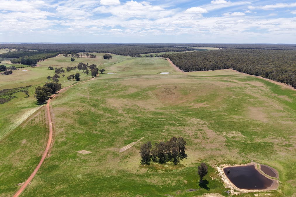 203 Simcock Road, Chowerup, WA, 6244 - Image 23