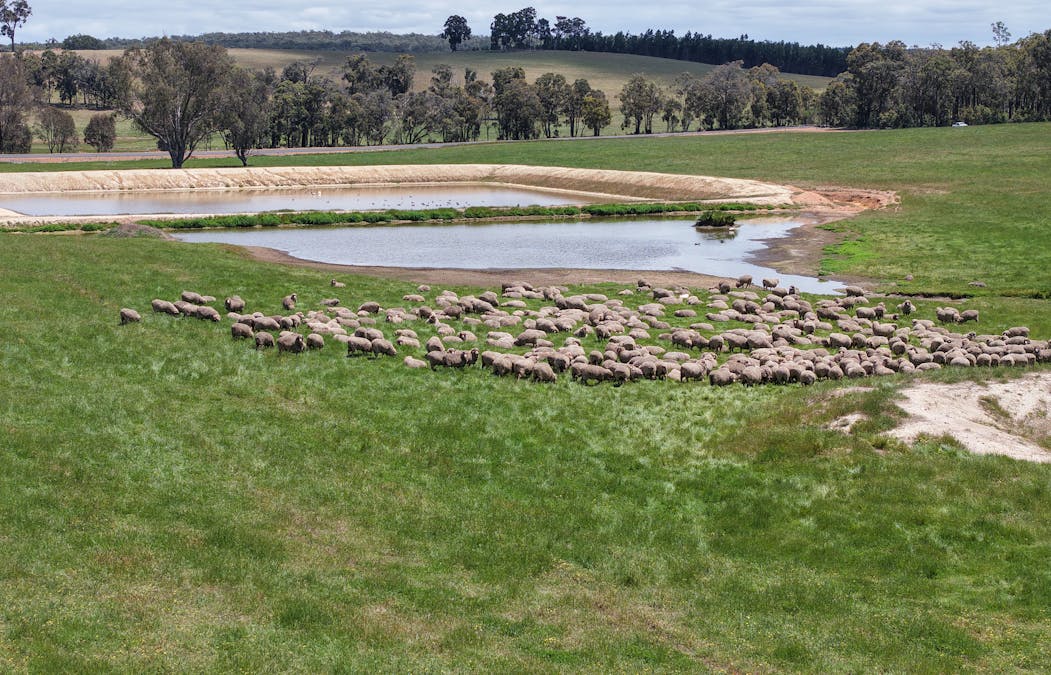 203 Simcock Road, Chowerup, WA, 6244 - Image 1