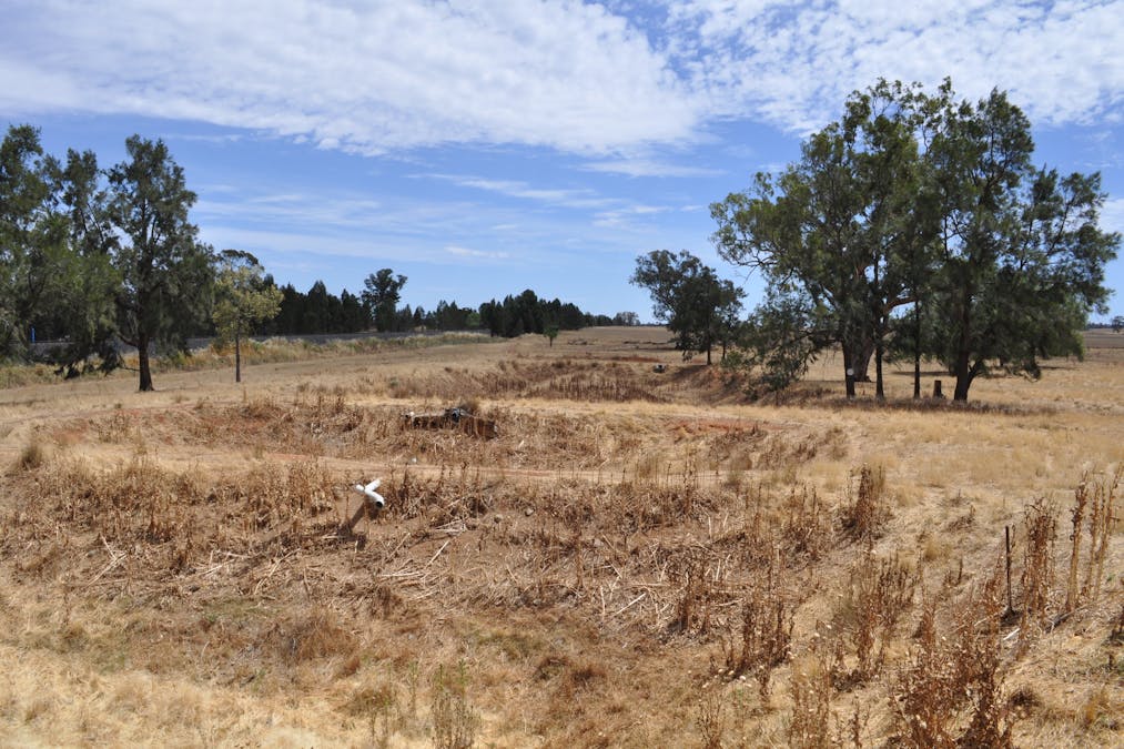 4L Marrington Road, Brocklehurst, NSW, 2830 - Image 30