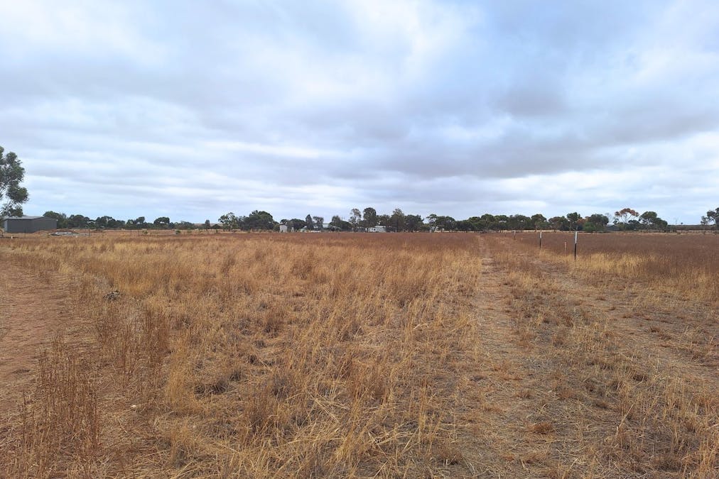 32 Wray Road, Owen, SA, 5460 - Image 3